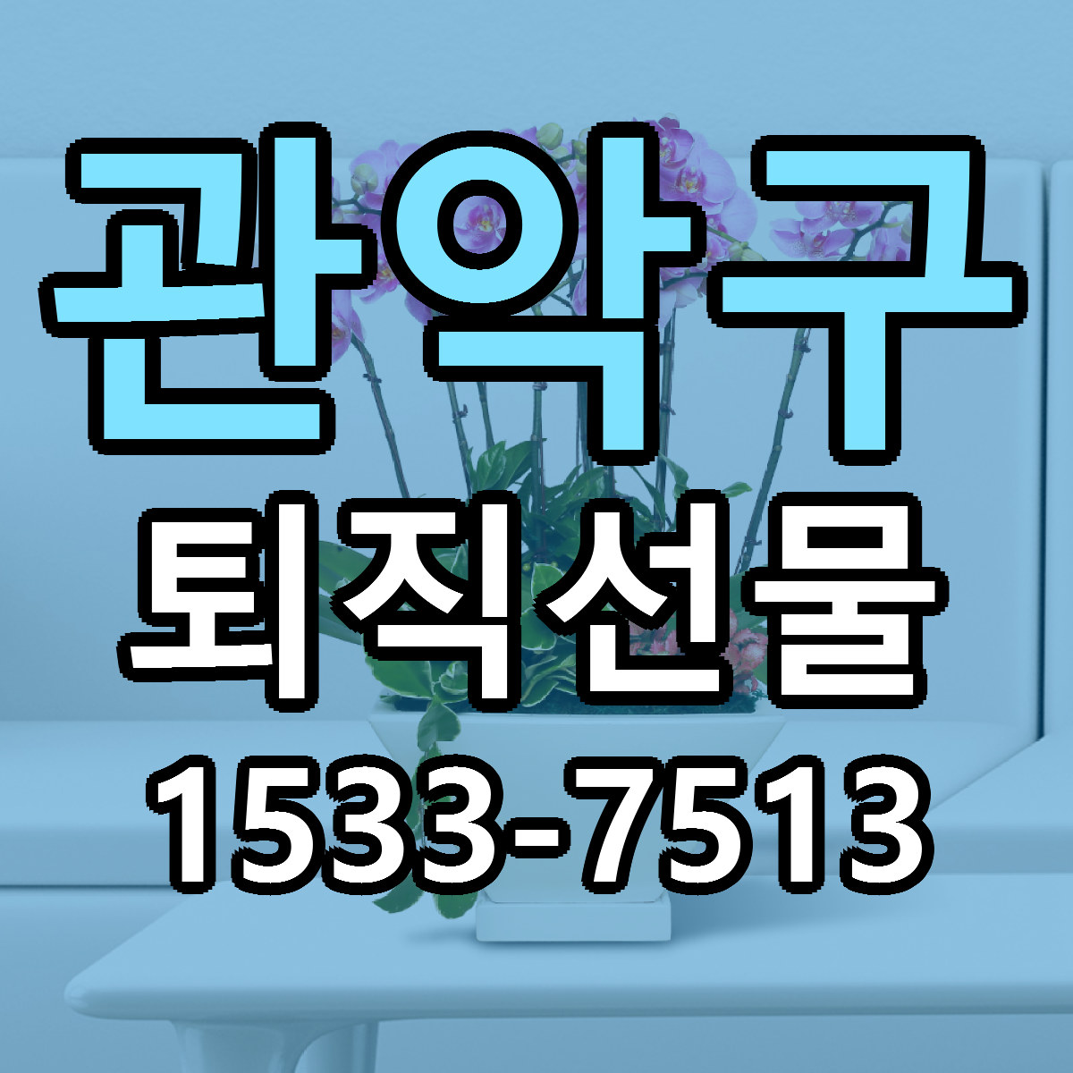 관악구 퇴직선물 당일배송 빠른배송 싼곳 찾기