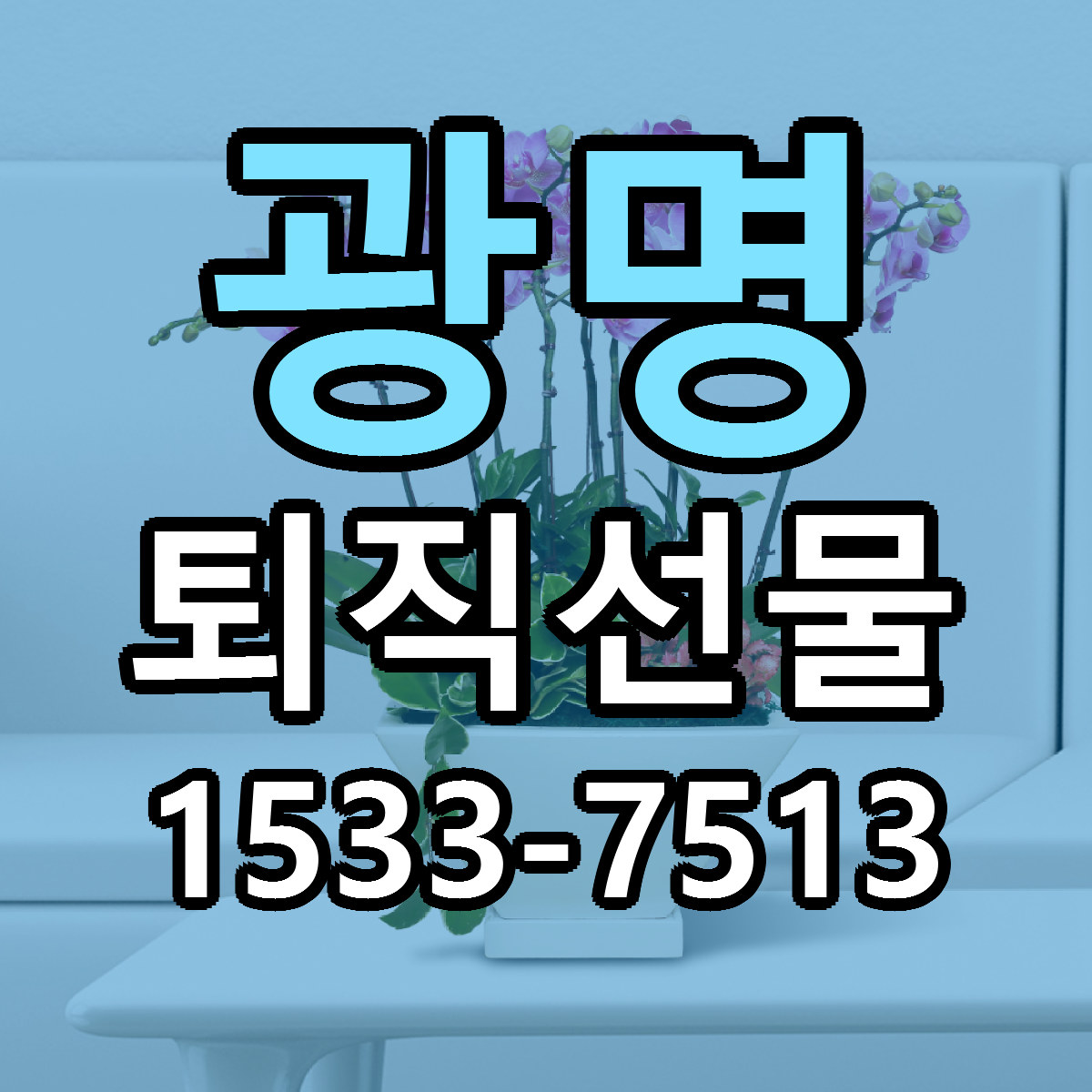 광명 퇴직선물 근처꽃집 가격 저렴한곳 안내