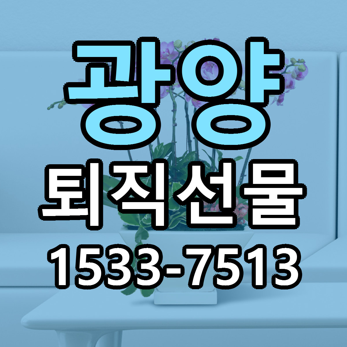 광양 퇴직선물 리본문구 서비스 저렴한곳 빠른배송