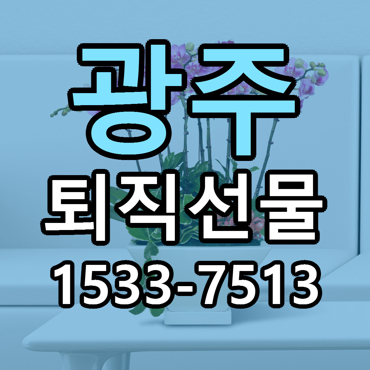 광주 퇴직선물 저렴한곳 당일배송 근처꽃집 추천