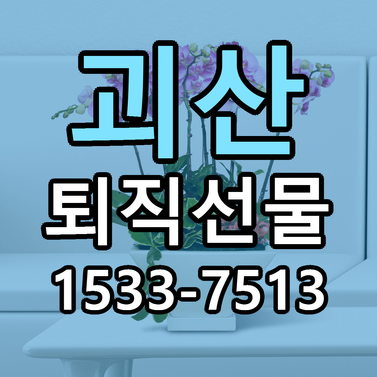 괴산 퇴직선물 빠른배송 근처꽃집 가격 비교