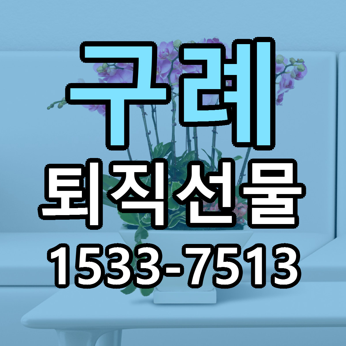 구례 퇴직선물 가격 만족 저렴한곳 리본문구 작성
