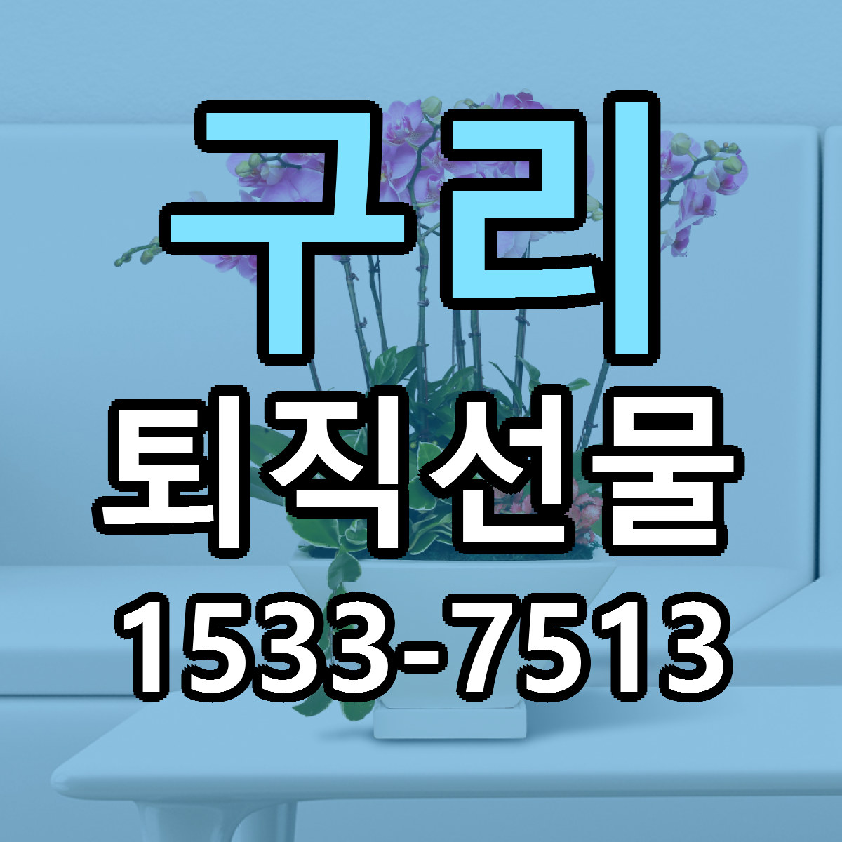 구리 퇴직선물 빠른배송 근처꽃집 가격 비교