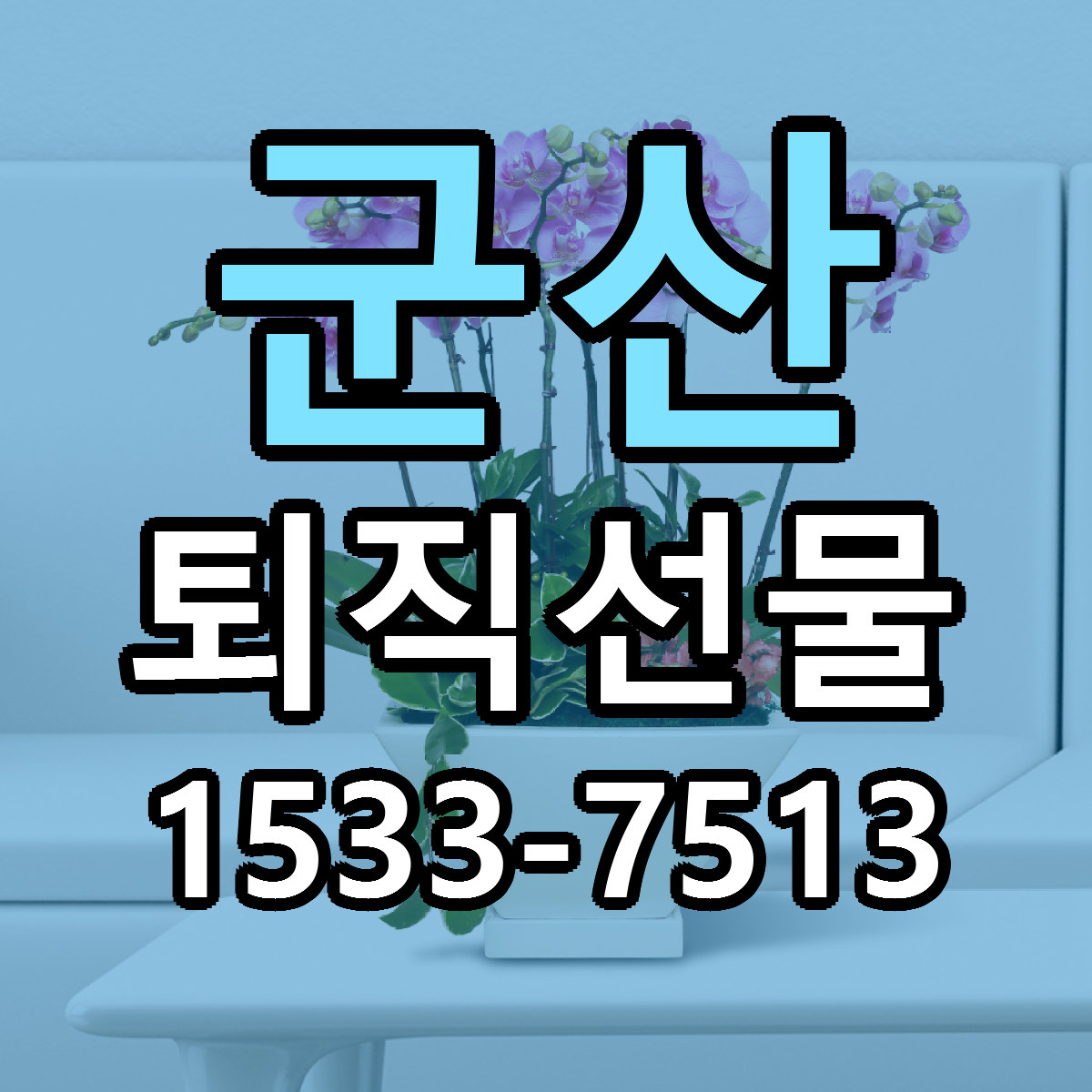 군산 퇴직선물 빠른배송 근처꽃집 가격 비교