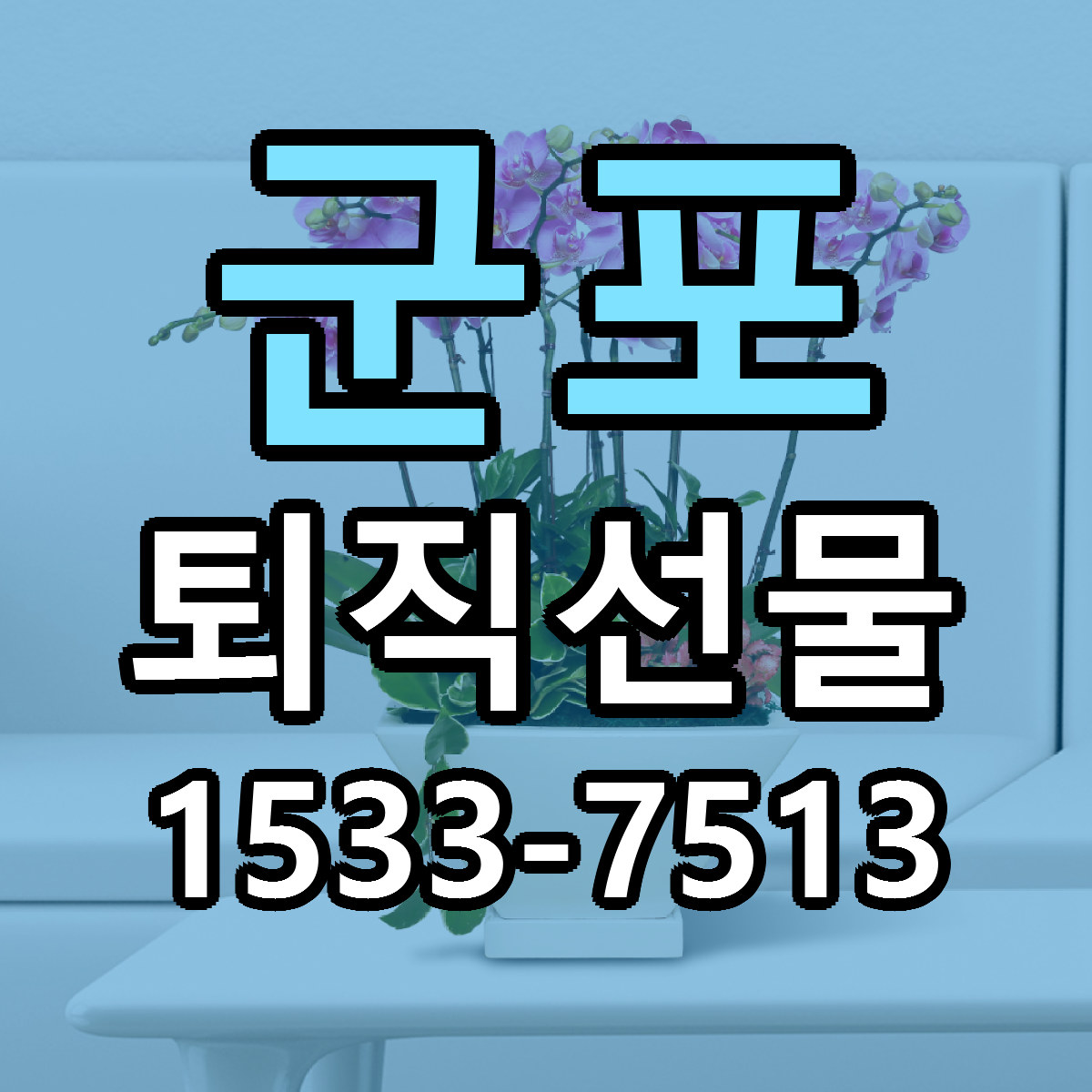 군포 퇴직선물 근처꽃집 빠른배송 가격 문의