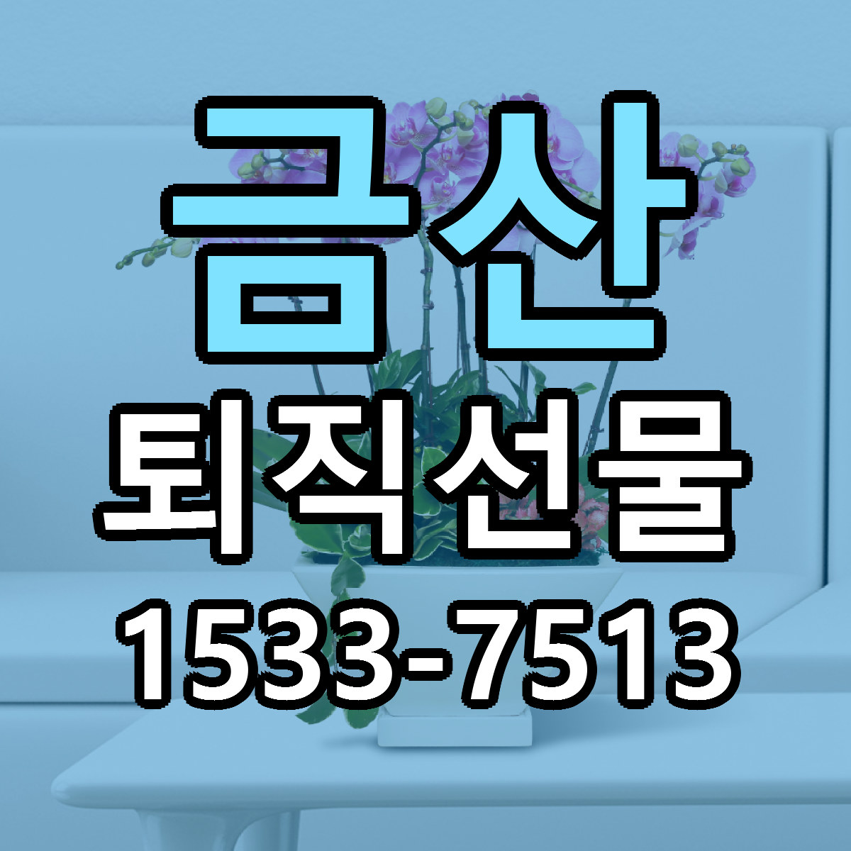 금산 퇴직선물 빠른배송 가격 저렴한곳 찾기