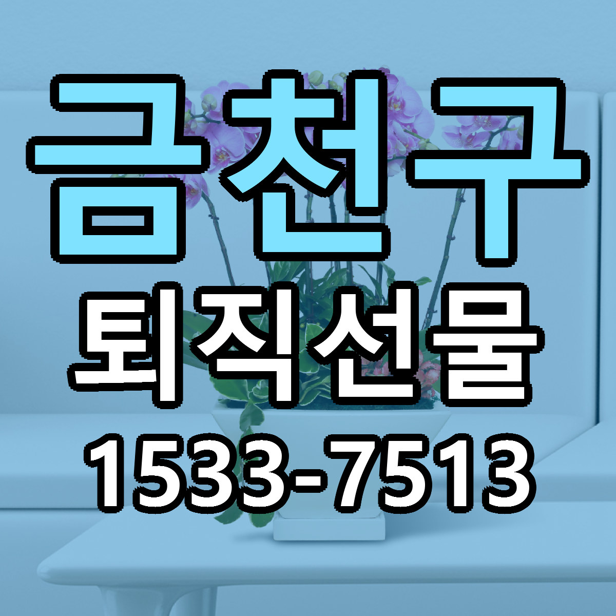 금천구 퇴직선물 빠른배송 가격 저렴한곳 찾기