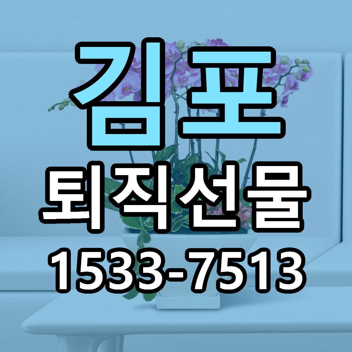 김포 퇴직선물 리본문구 서비스 저렴한곳 빠른배송
