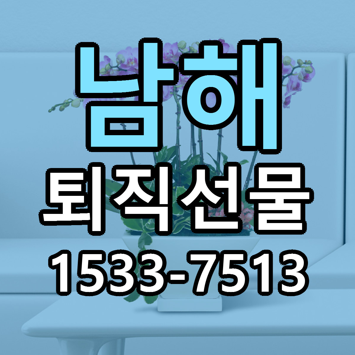 남해 퇴직선물 빠른배송 리본문구 가격 알뜰 비교