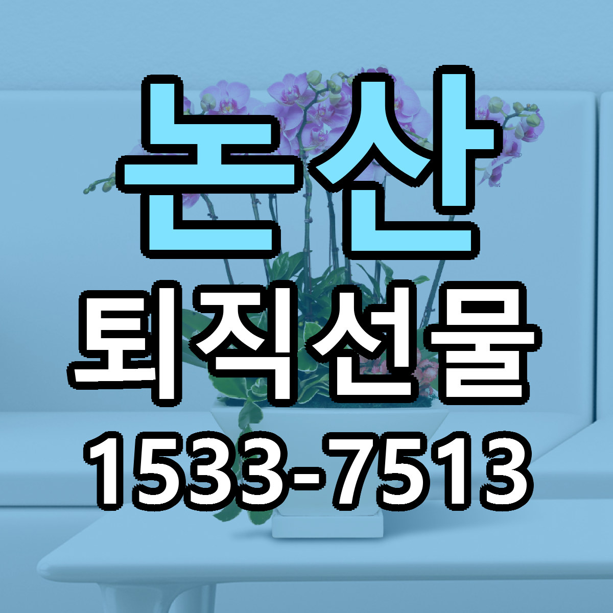논산 퇴직선물 리본문구 근처꽃집 저렴한곳 예약