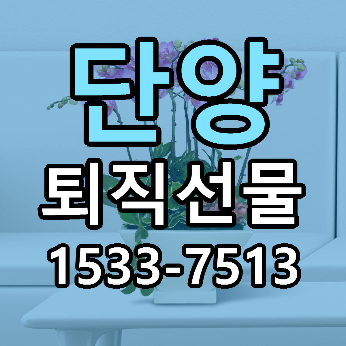단양 퇴직선물 당일배송 저렴한곳 리본문구 추천