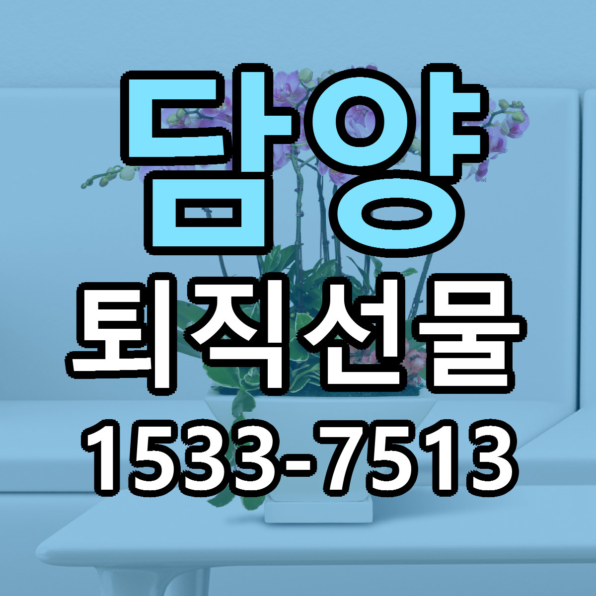 담양 퇴직선물 싼곳 당일배송 리본문구 작성