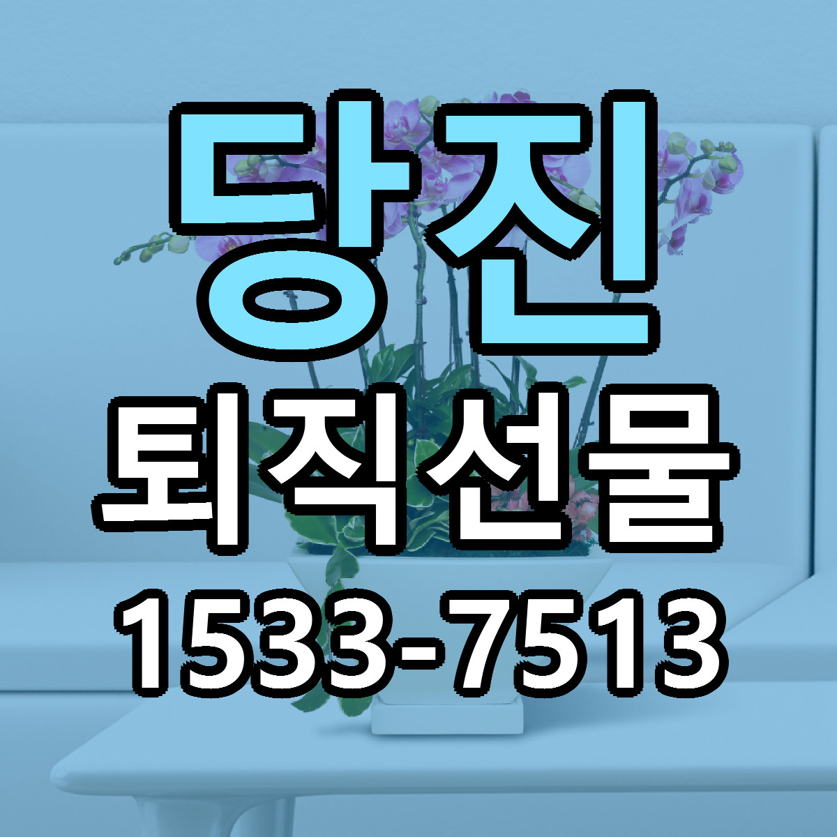 당진 퇴직선물 싼곳 당일배송 리본문구 작성