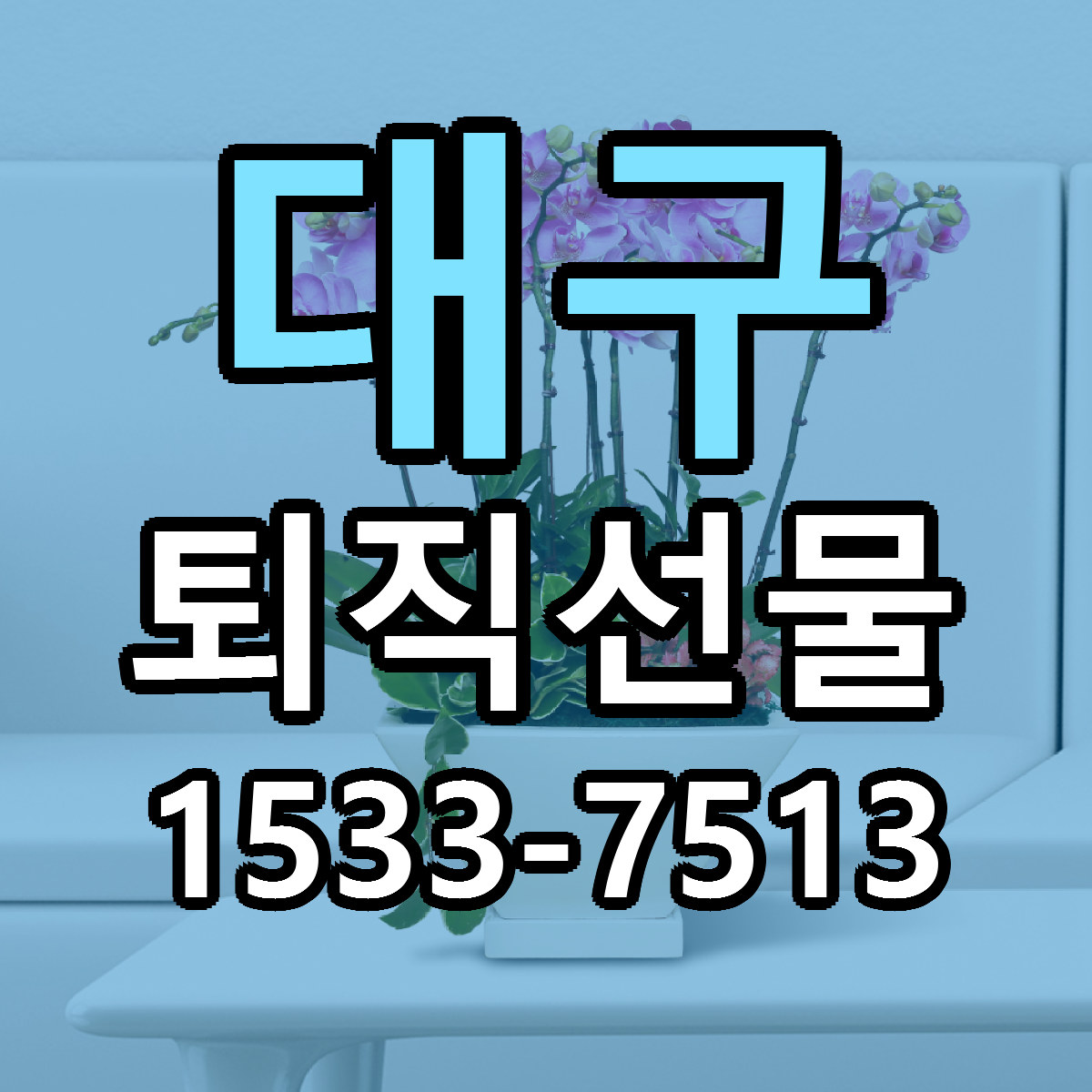대구 퇴직선물 근처꽃집 싼곳 빠른배송 안내