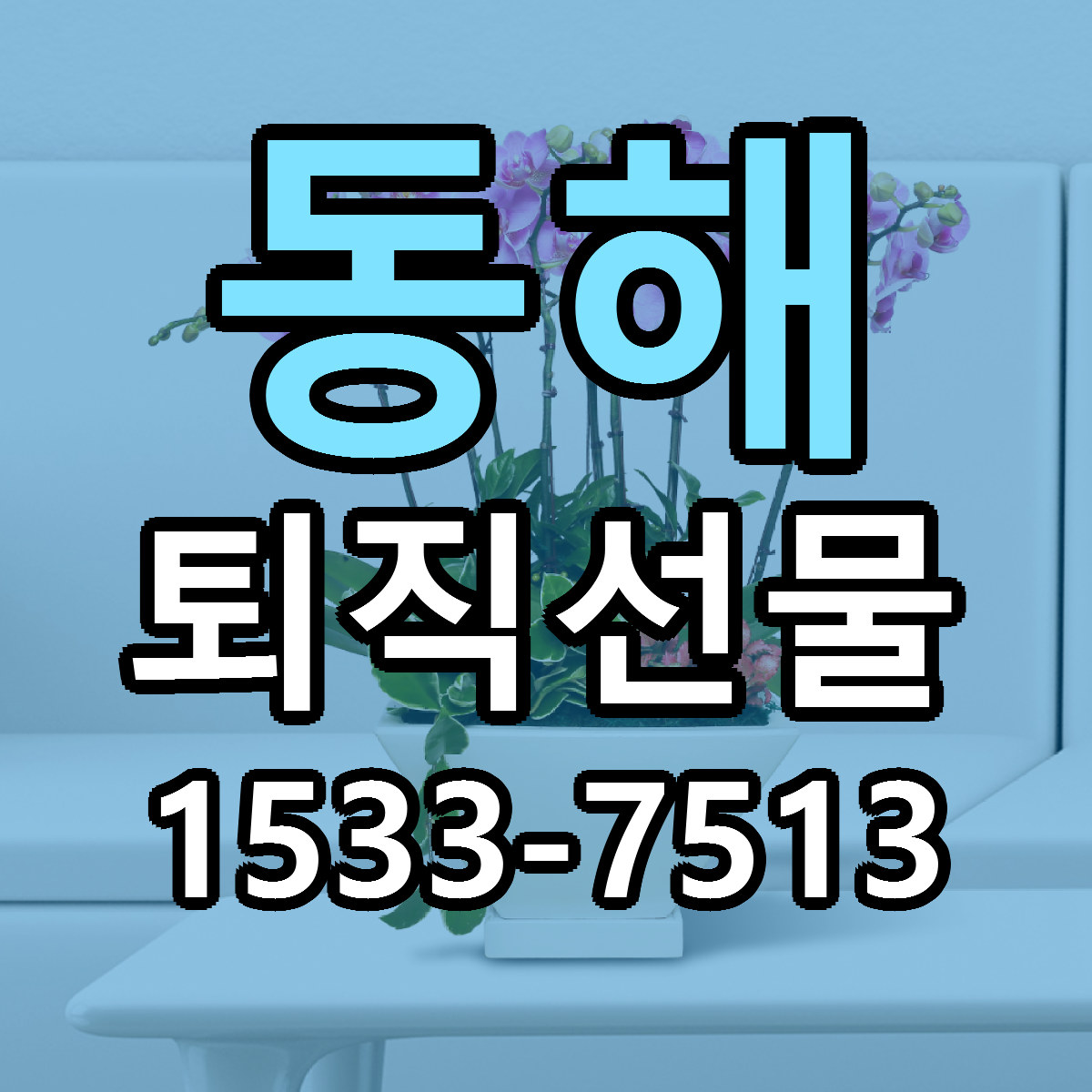 동해 퇴직선물 당일배송 저렴한곳 리본문구 추천