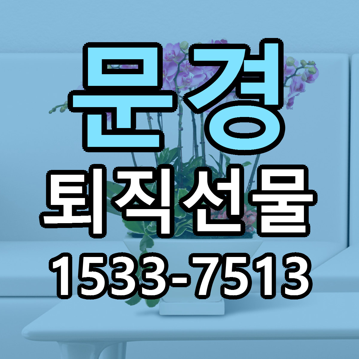 문경 퇴직선물 당일배송 리본문구 싼곳 찾기