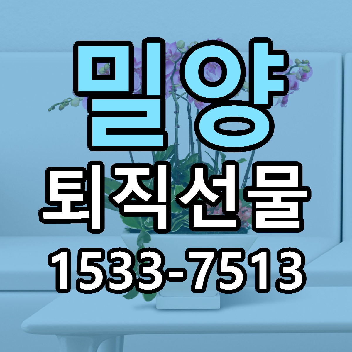 밀양 퇴직선물 당일배송 싼곳 리본문구 안내