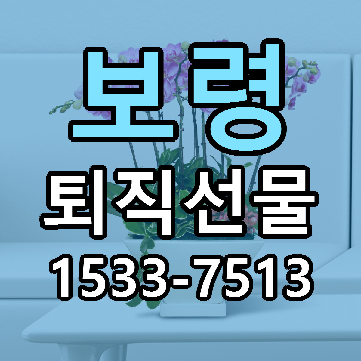 보령 퇴직선물 당일배송 가격 저렴한곳 추천