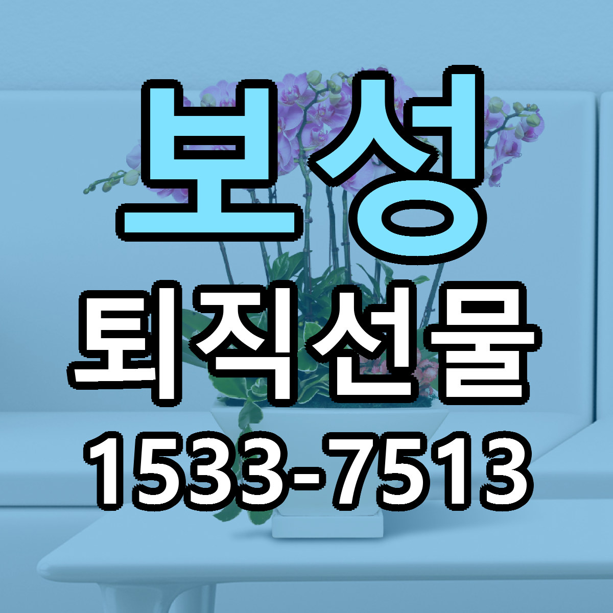 보성 퇴직선물 당일배송 가격 저렴한곳 추천