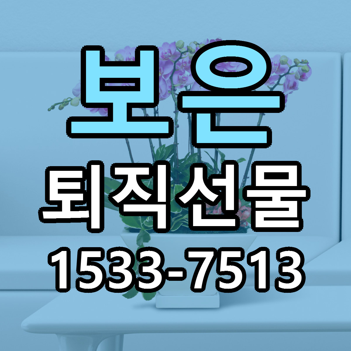 보은 퇴직선물 빠른배송 근처꽃집 가격 비교