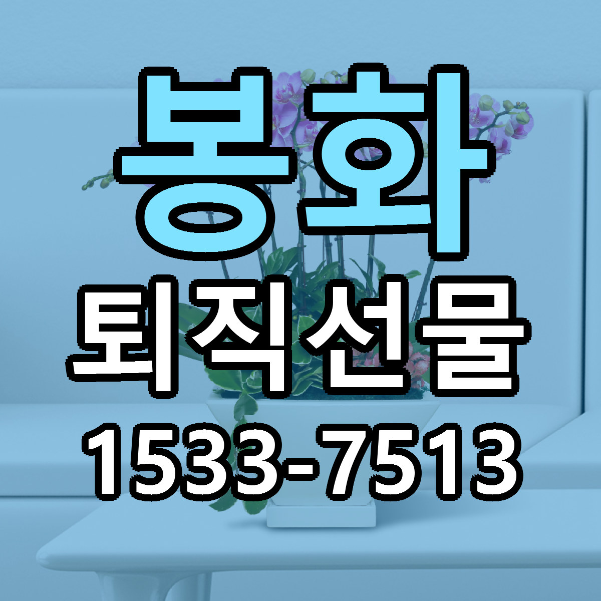 봉화 퇴직선물 당일배송 빠른배송 싼곳 찾기