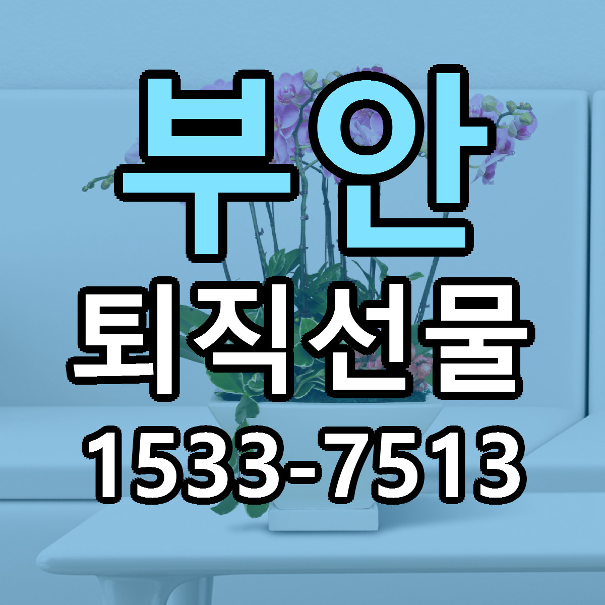 부안 퇴직선물 빠른배송 리본문구 근처꽃집 예약