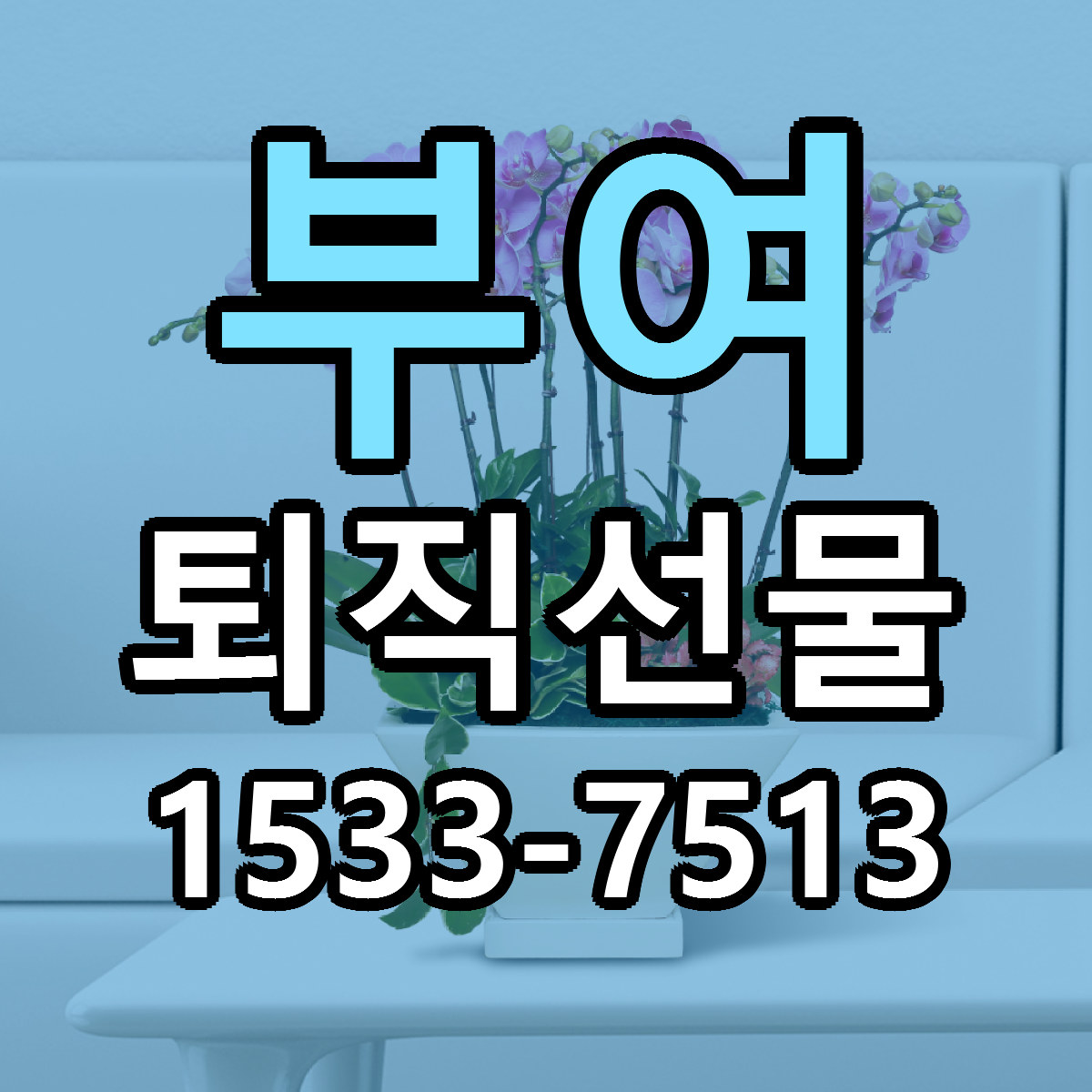 부여 퇴직선물 리본문구 근처꽃집 저렴한곳 예약