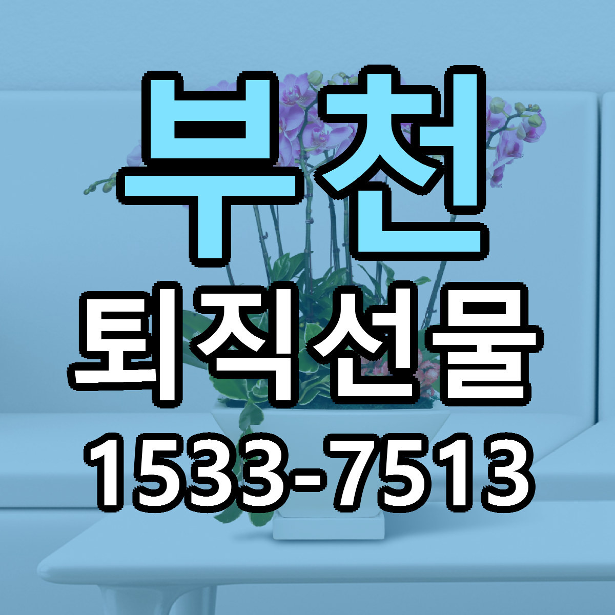부천 퇴직선물 빠른배송 리본문구 근처꽃집 예약