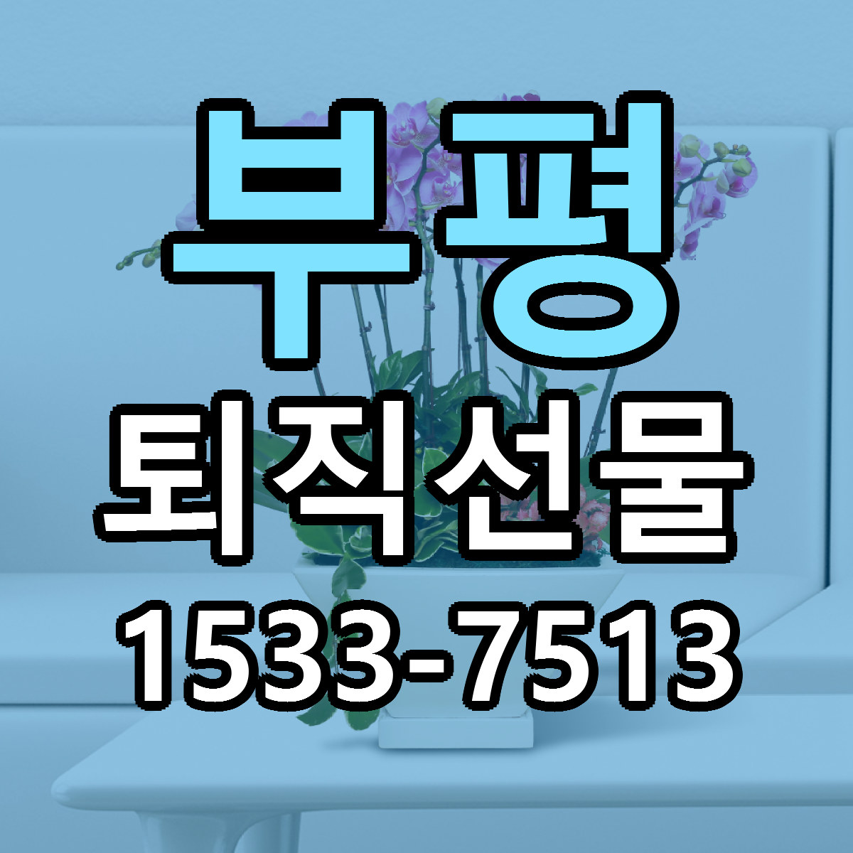 부평 퇴직선물 근처꽃집 당일배송 가격 안내