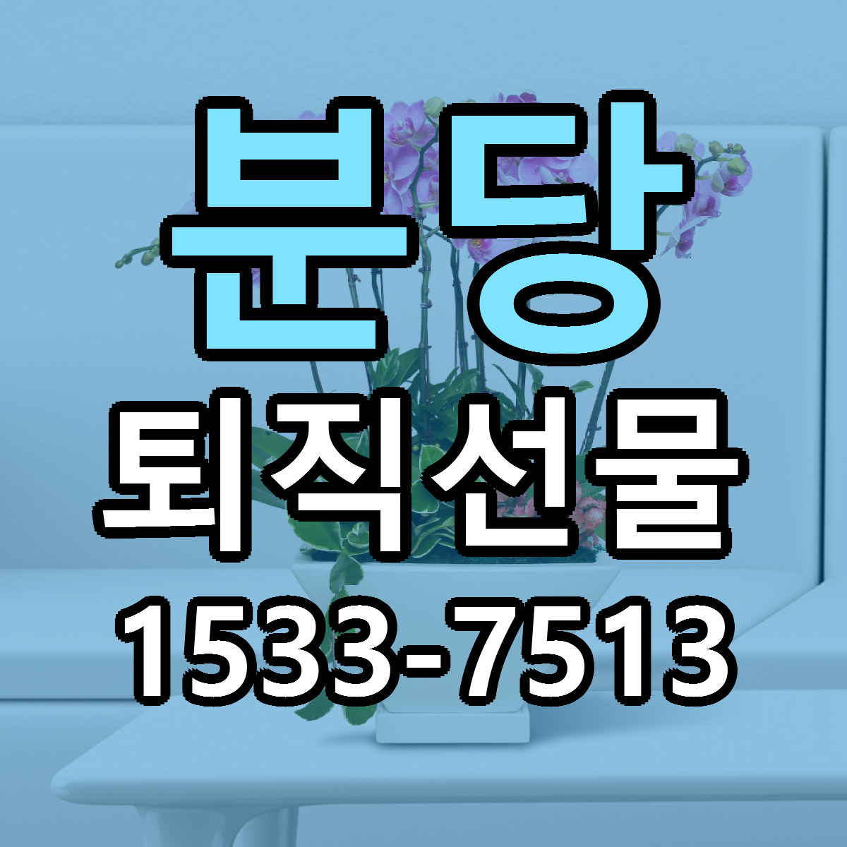 분당 퇴직선물 싼곳 당일배송 빠른배송 추천