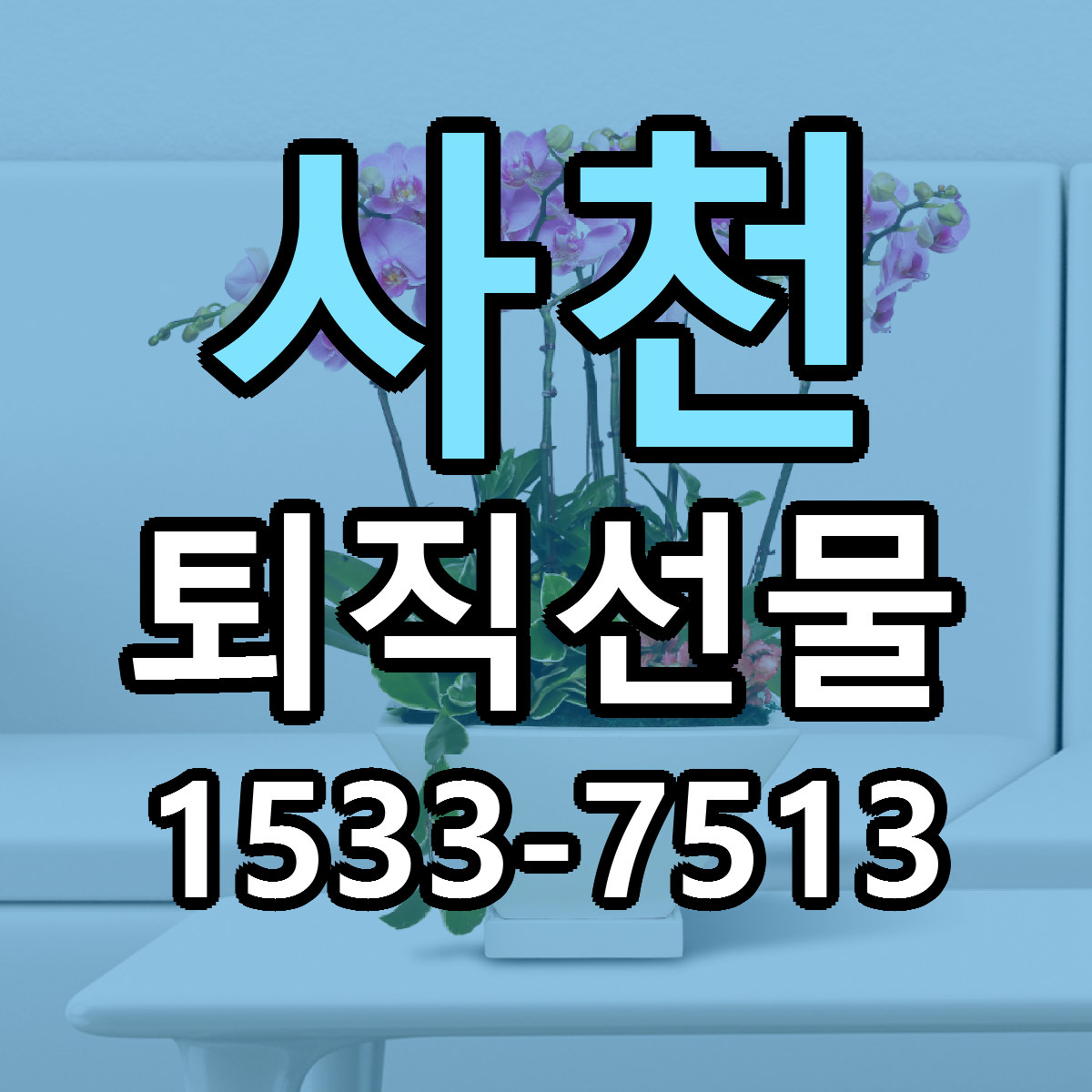 사천 퇴직선물 근처꽃집 가격 저렴한곳 안내