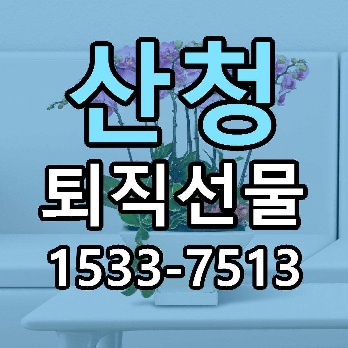 산청 퇴직선물 가격 착한 싼곳 당일배송 안내