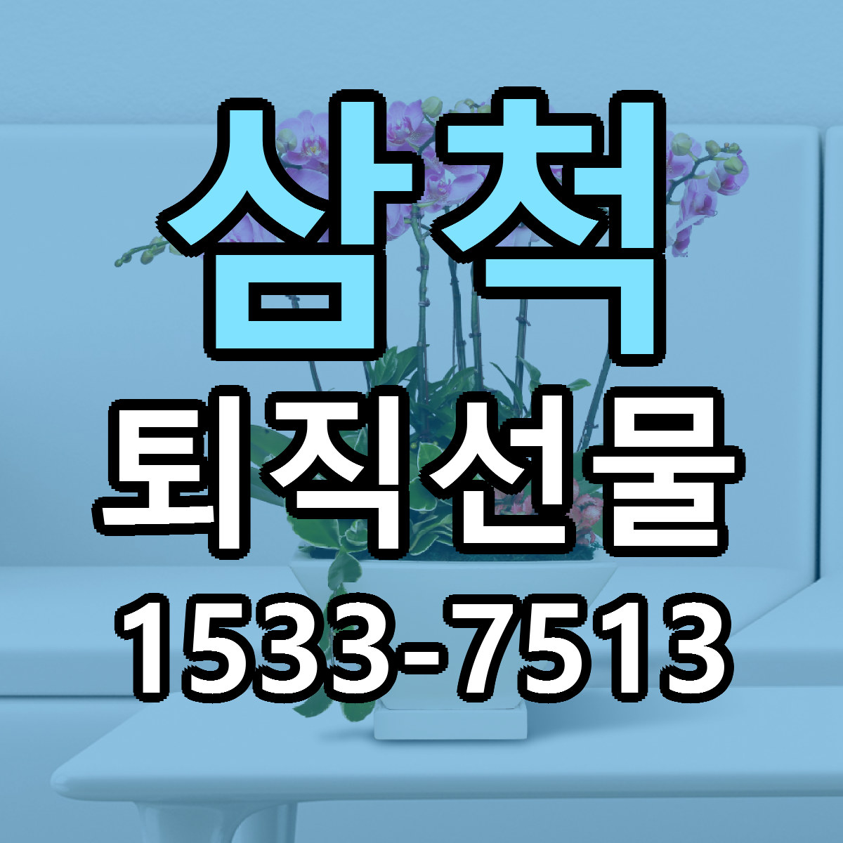 삼척 퇴직선물 근처꽃집 당일배송 리본문구 서비스