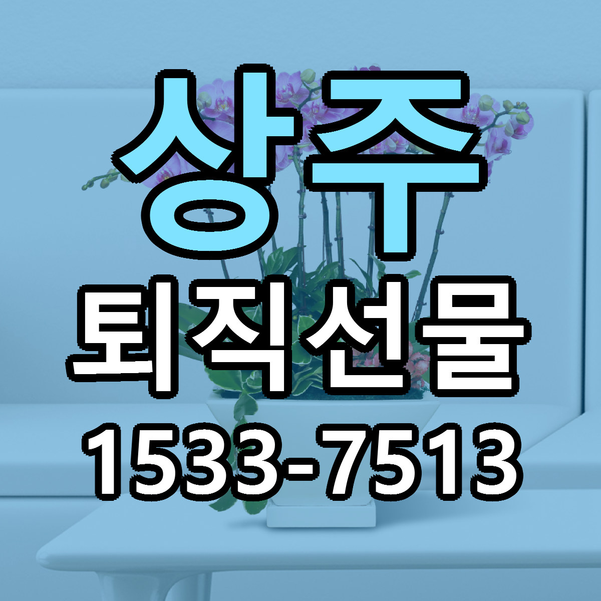 상주 퇴직선물 당일배송 근처꽃집 싼곳 비교