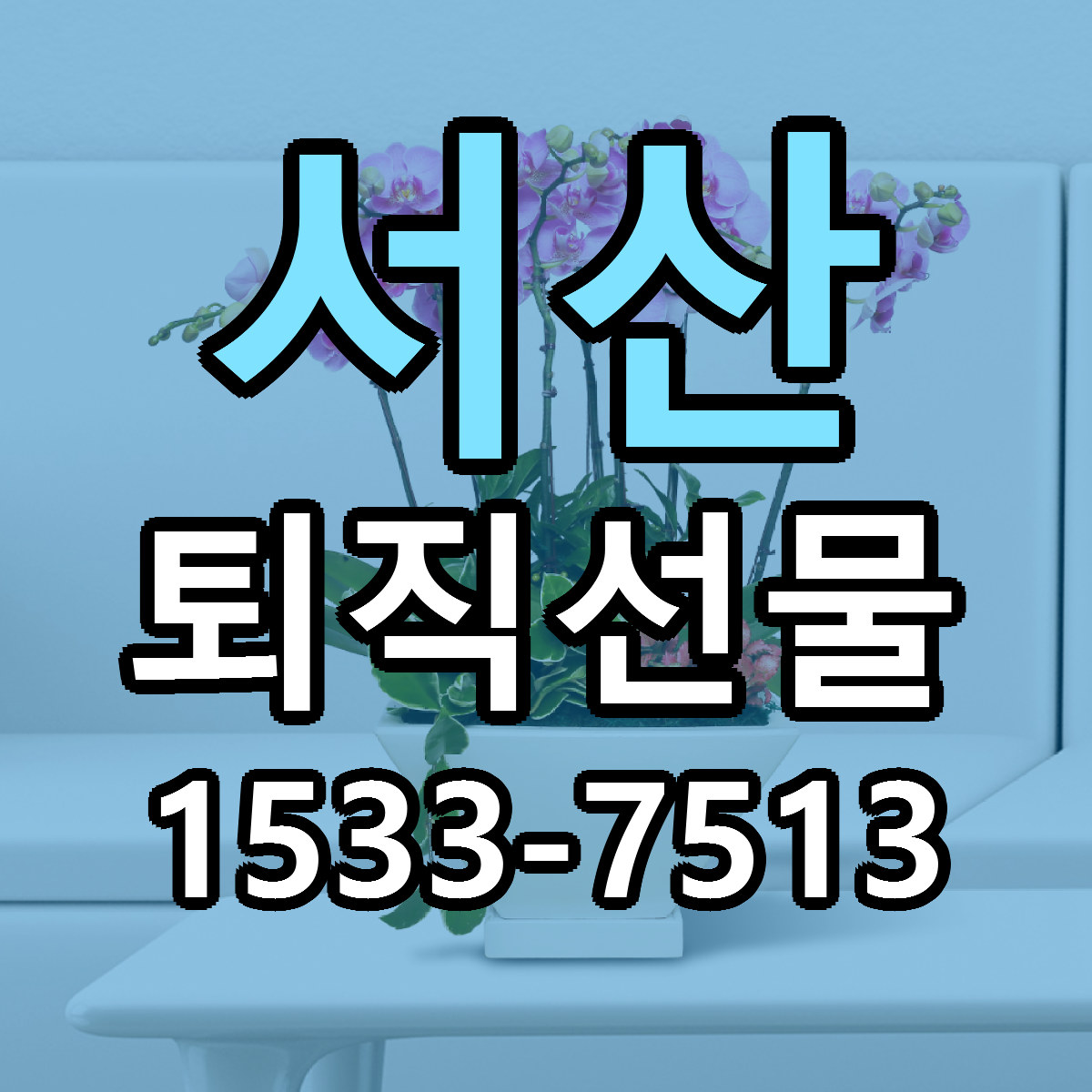 서산 퇴직선물 근처꽃집 가격 저렴한곳 안내