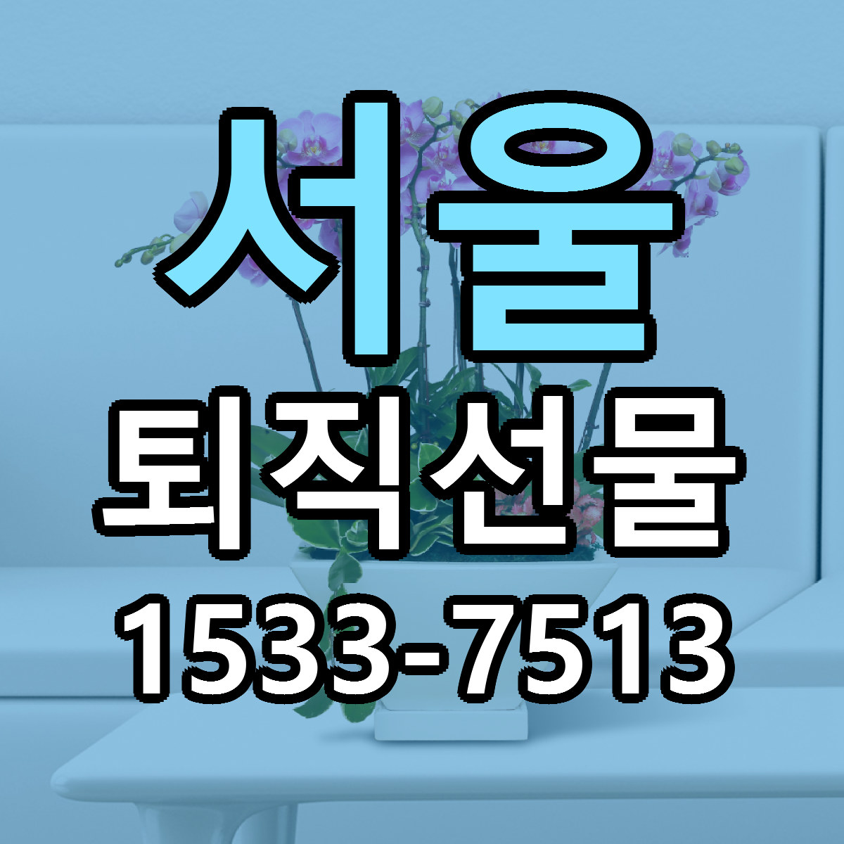 서울 퇴직선물 싼곳 빠른배송 리본문구 무료