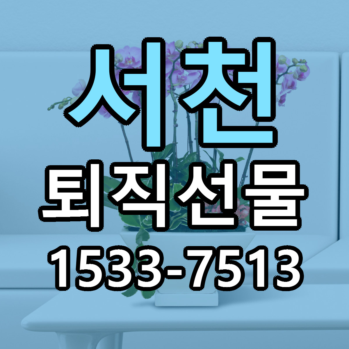 서천 퇴직선물 빠른배송 리본문구 가격 알뜰 비교