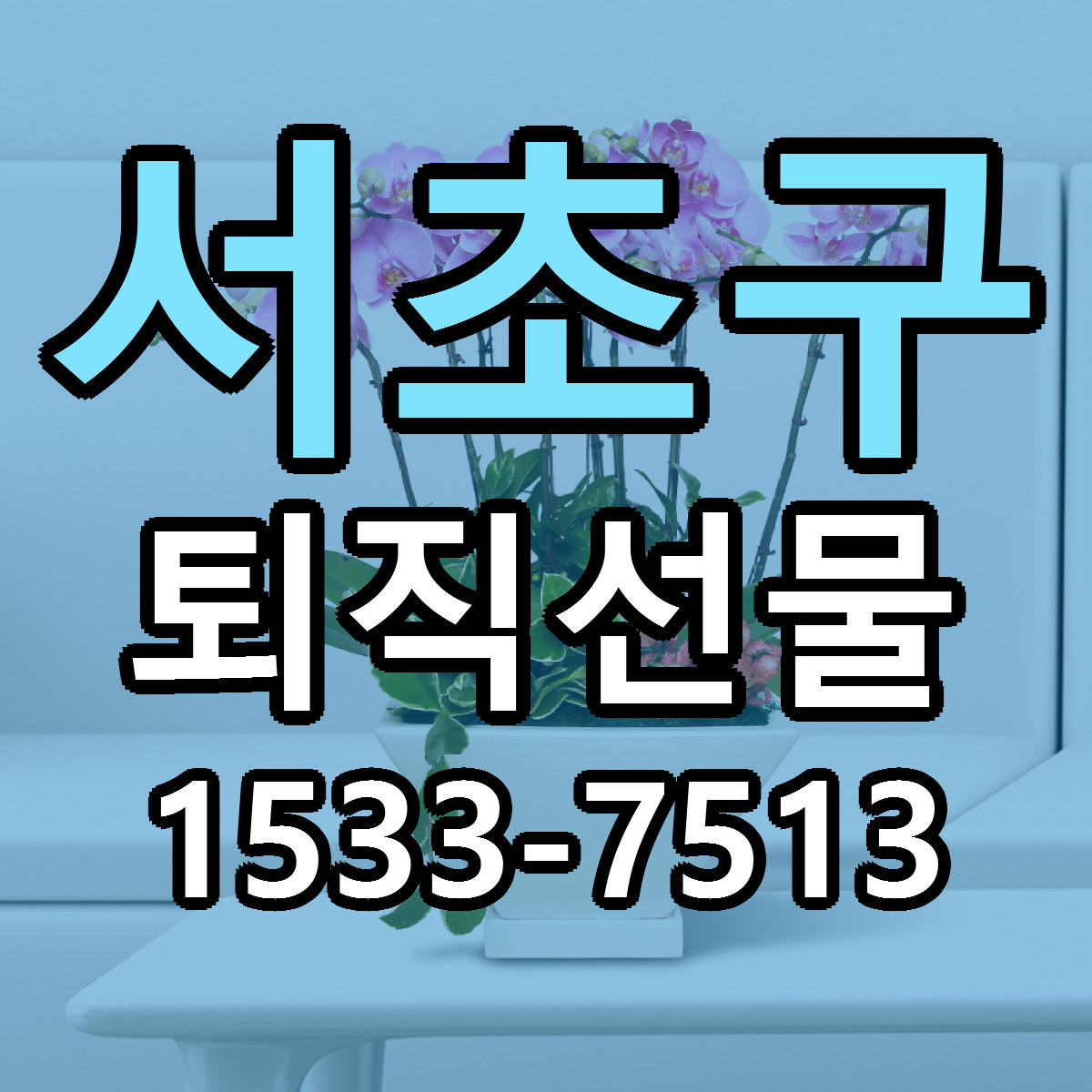 서초구 퇴직선물 근처꽃집 싼곳 빠른배송 안내