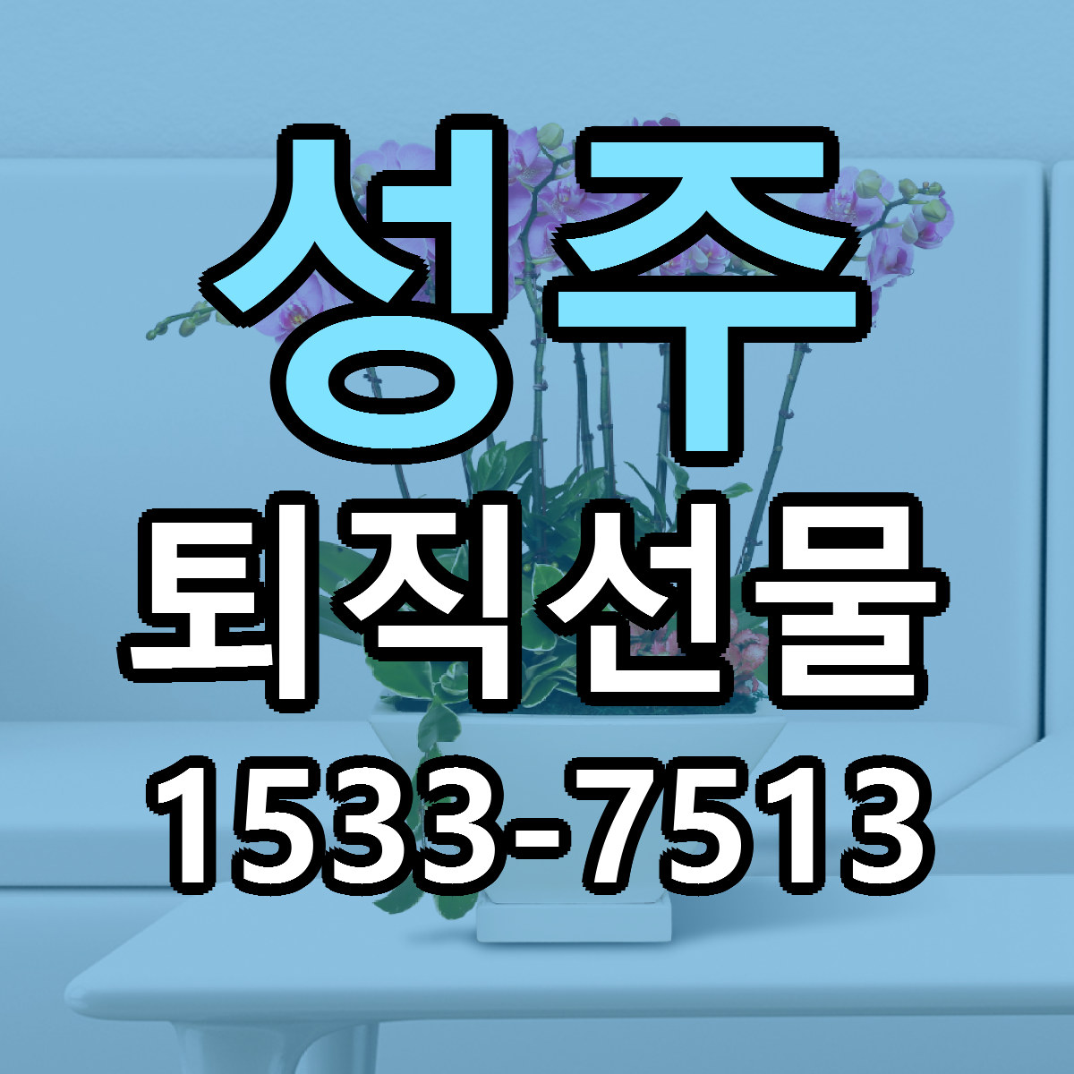 성주 퇴직선물 당일배송 리본문구 빠른배송 서비스