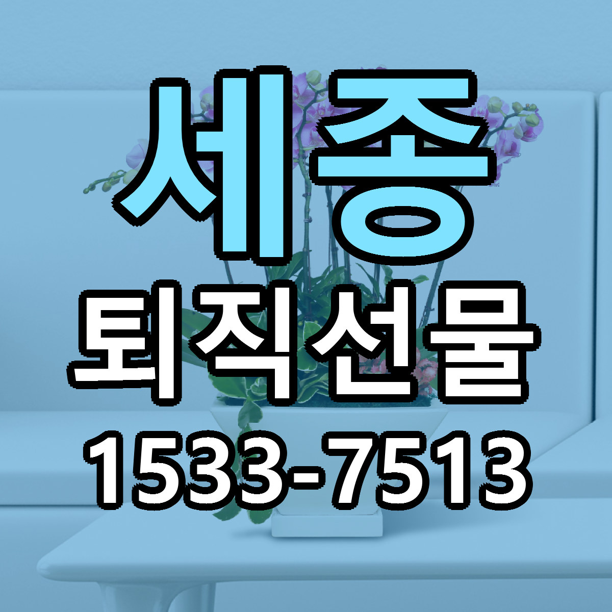 세종 퇴직선물 당일배송 저렴한곳 리본문구 추천