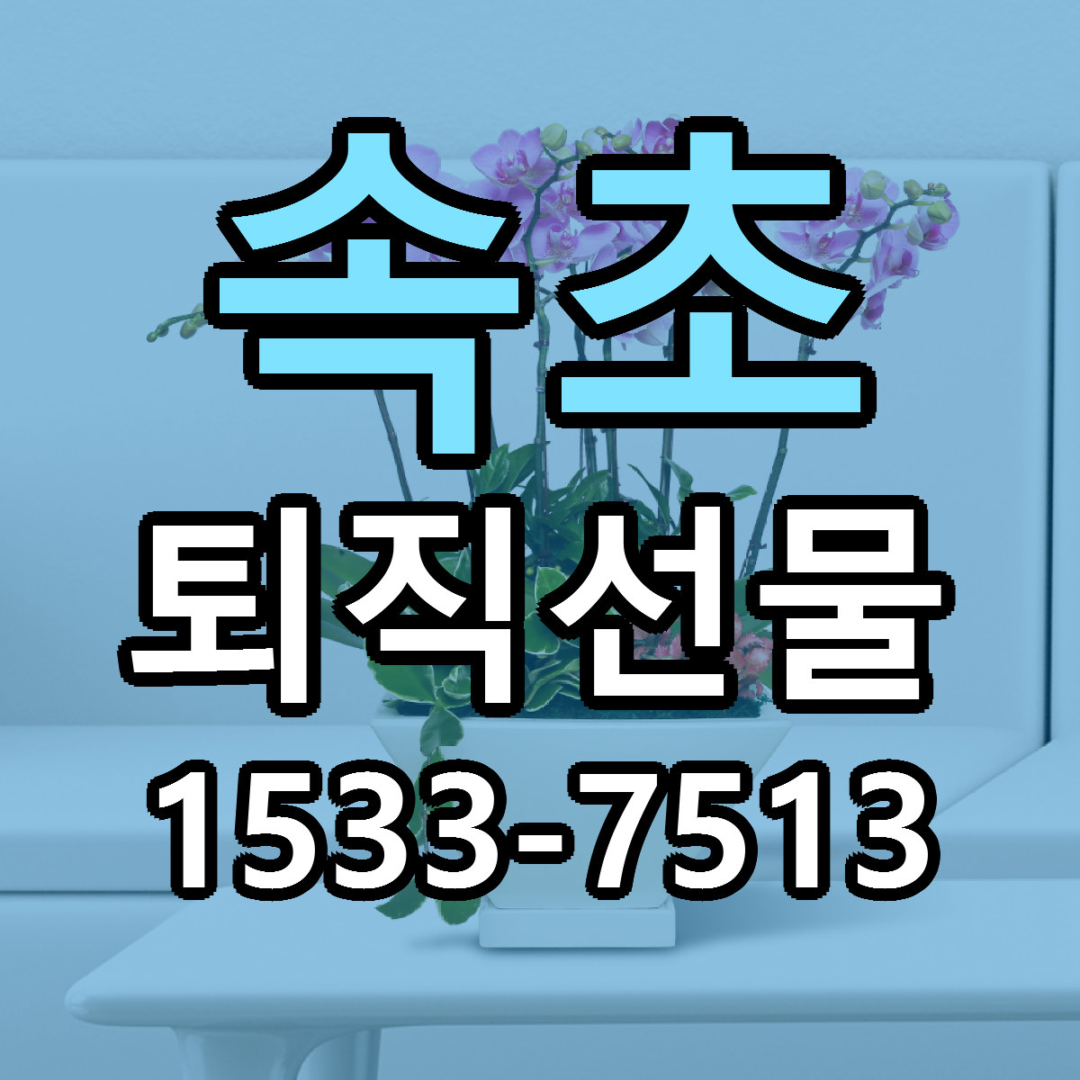 속초 퇴직선물 당일배송 가격 저렴한곳 추천