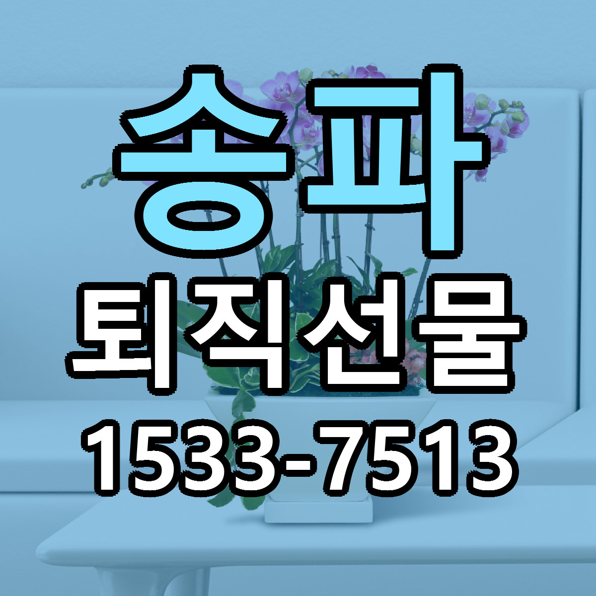 송파 퇴직선물 싼곳 당일배송 빠른배송 추천