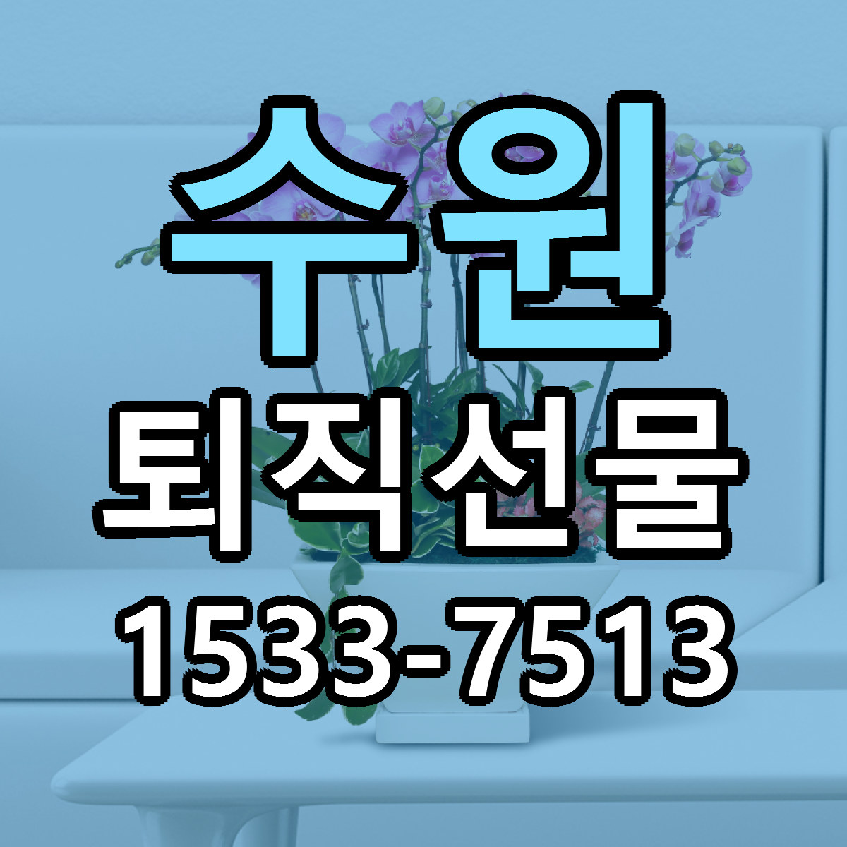 수원 퇴직선물 빠른배송 리본문구 근처꽃집 예약