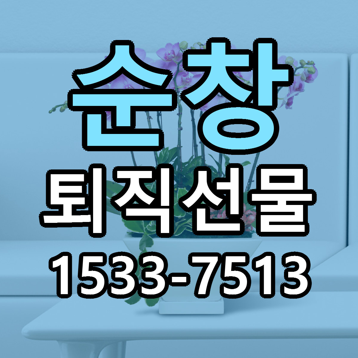 순창 퇴직선물 싼곳 당일배송 빠른배송 추천