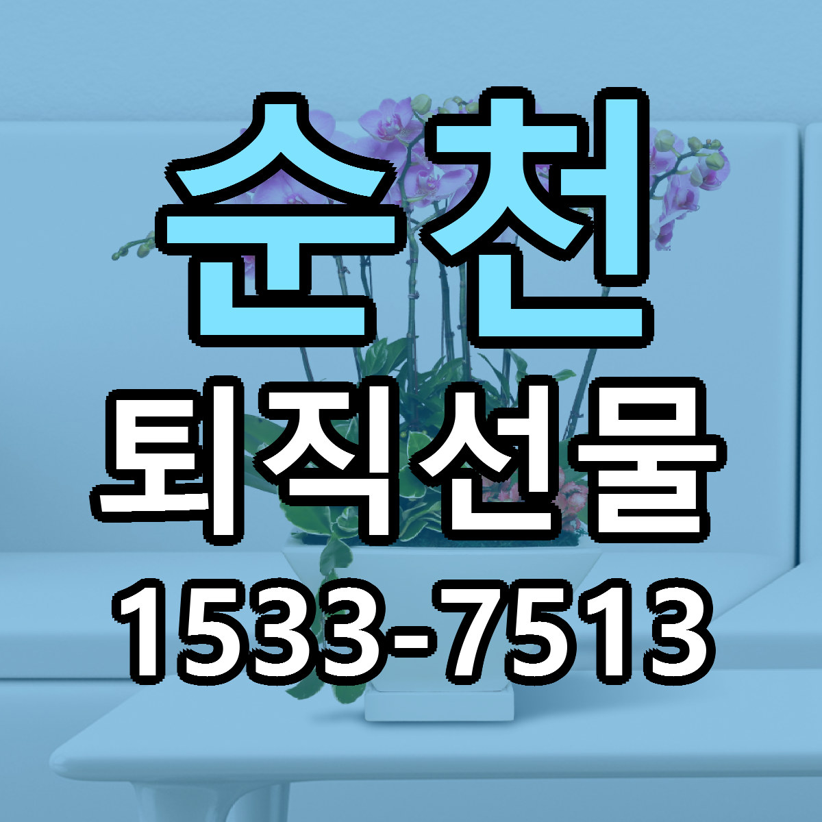 순천 퇴직선물 빠른배송 리본문구 가격 알뜰 비교