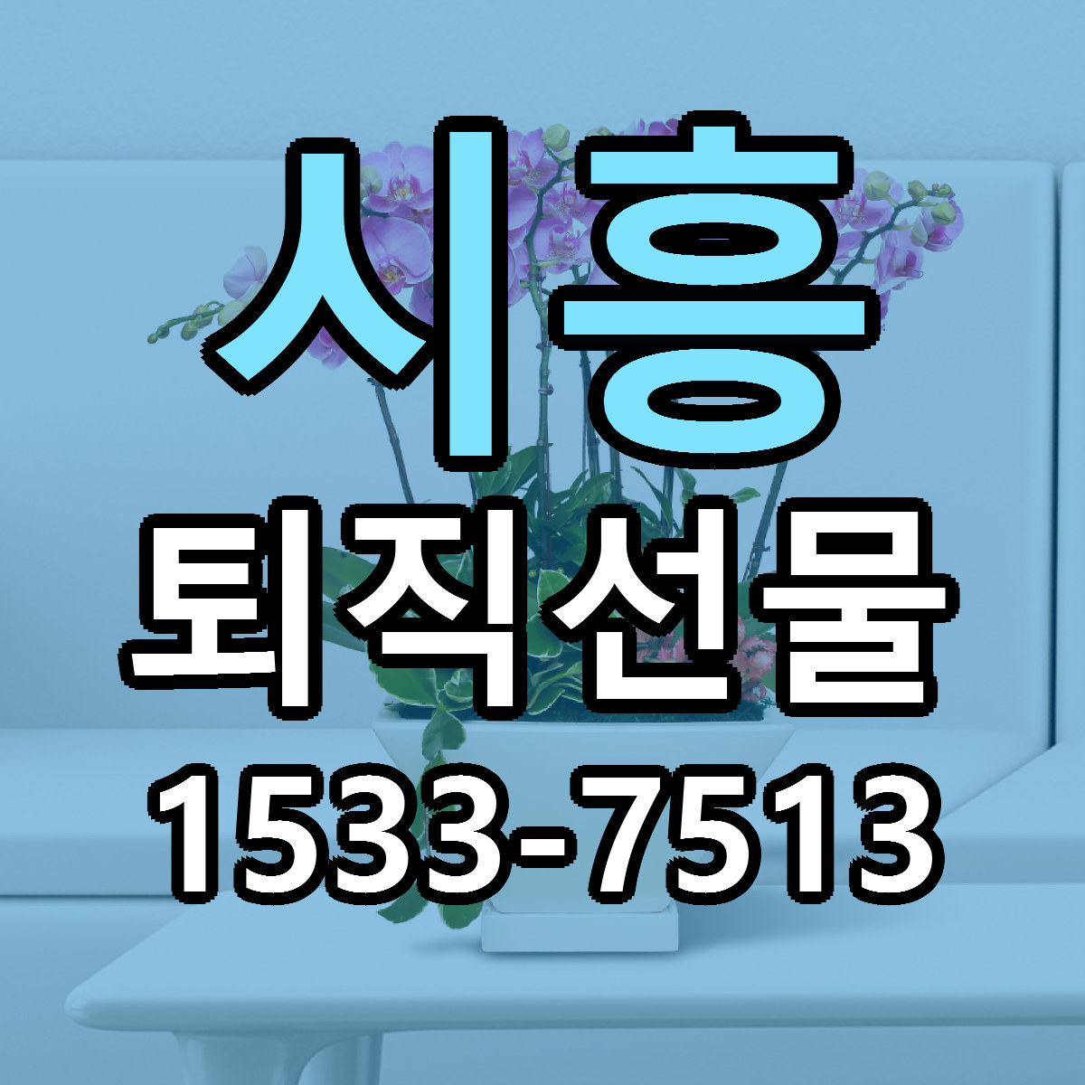 시흥 퇴직선물 당일배송 가격 저렴한곳 추천