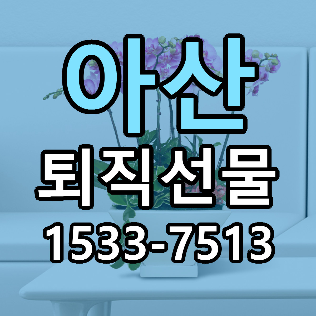 아산 퇴직선물 리본문구 서비스 저렴한곳 빠른배송
