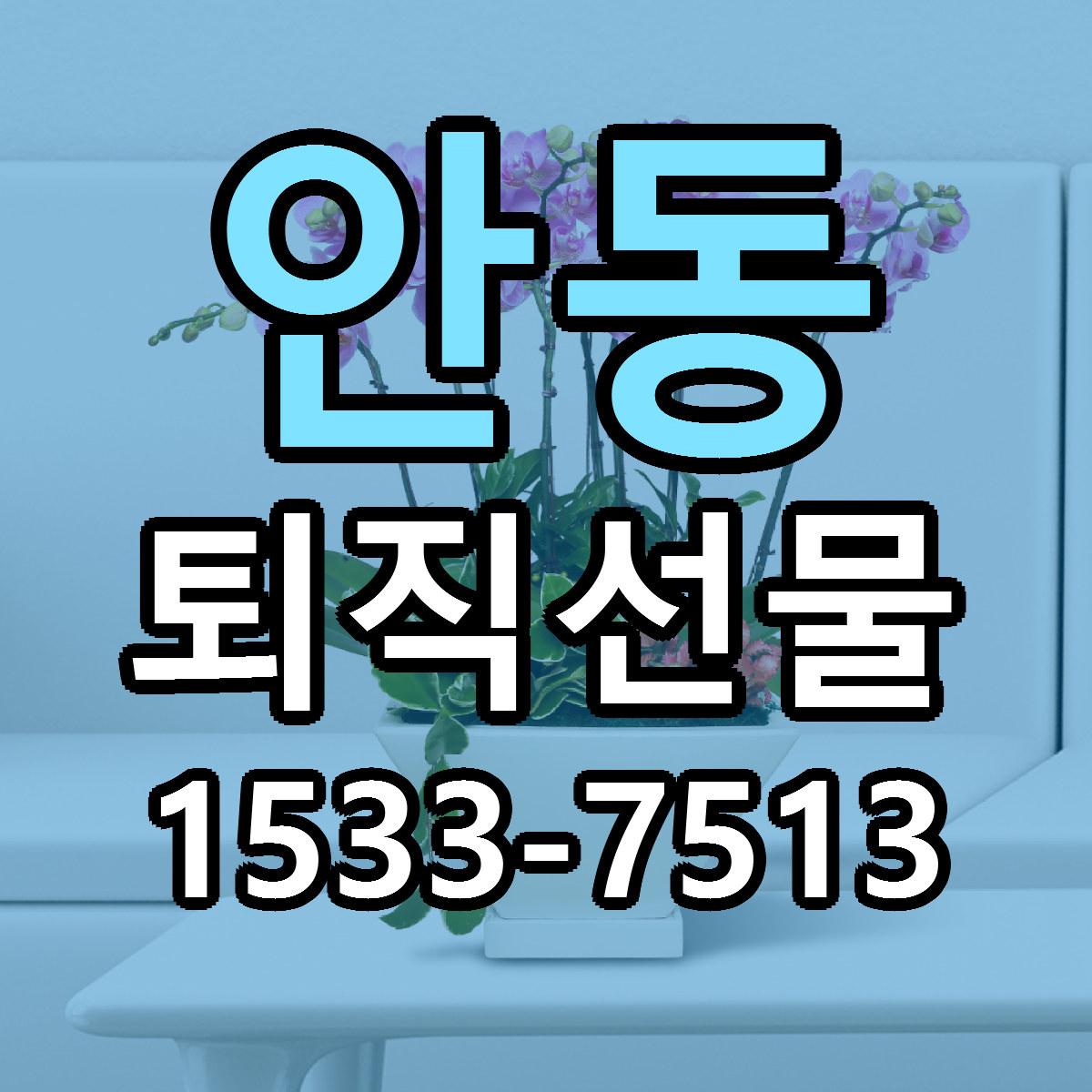 안동 퇴직선물 근처꽃집 당일배송 가격 안내