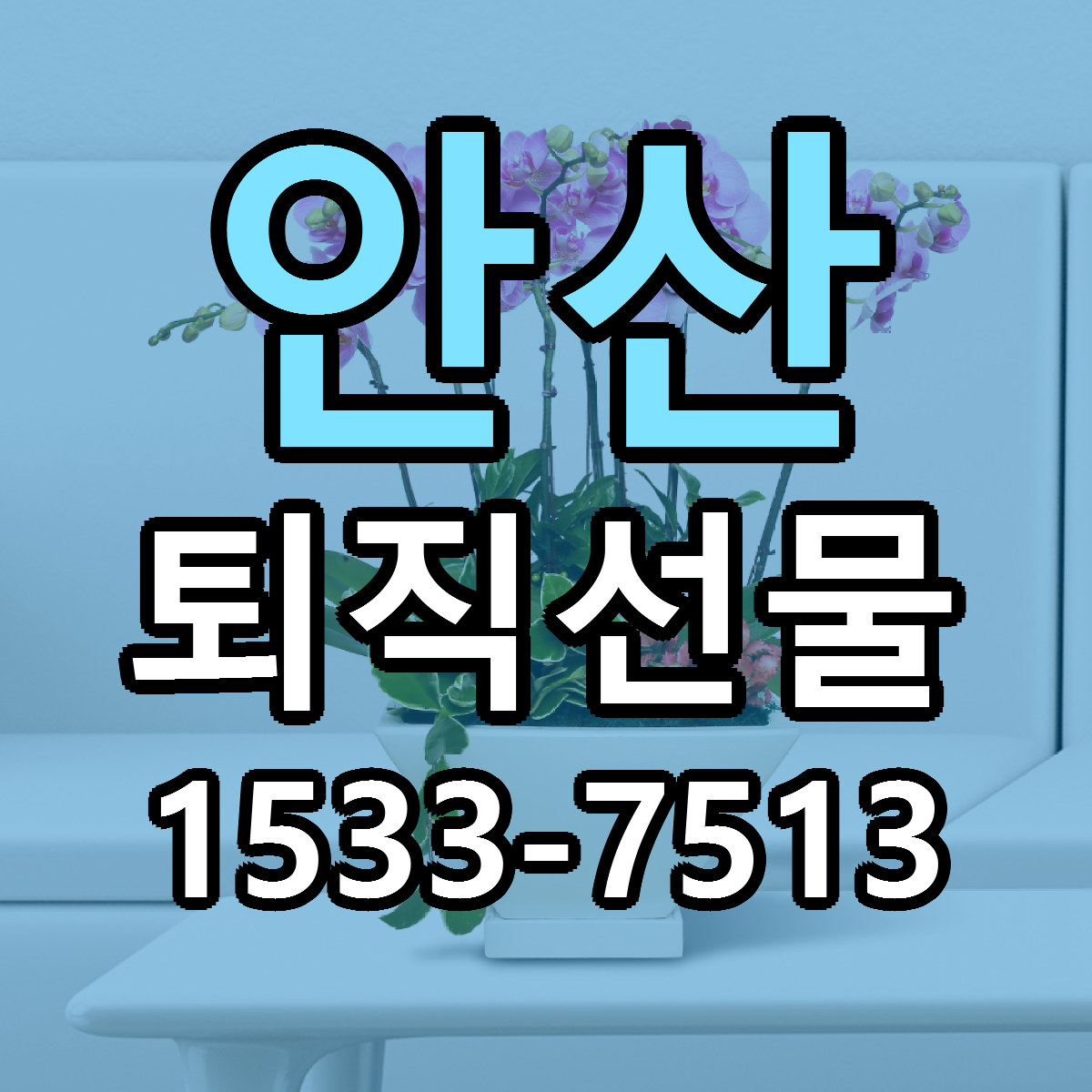 안산 퇴직선물 리본문구 싼곳 빠른배송 예약