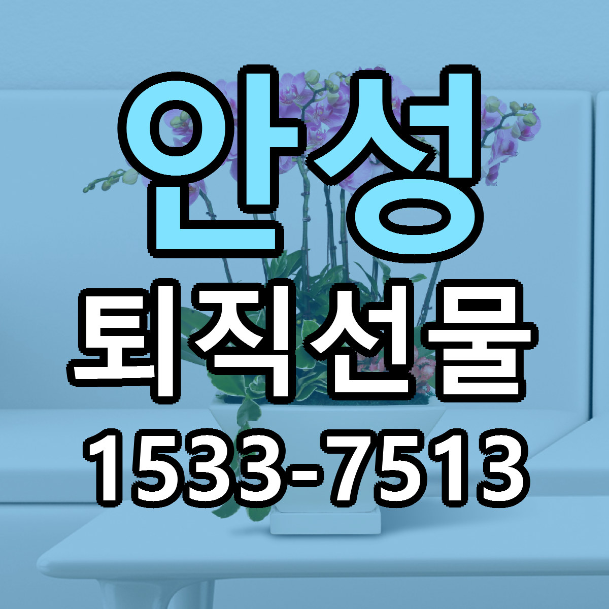 안성 퇴직선물 근처꽃집 당일배송 싼곳 추천